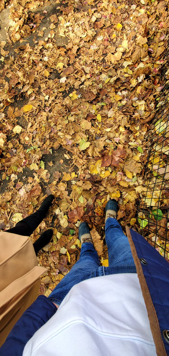 AdrianMS3's tweet photo. Central Park #Bae https://t.co/5j8DFzBQim