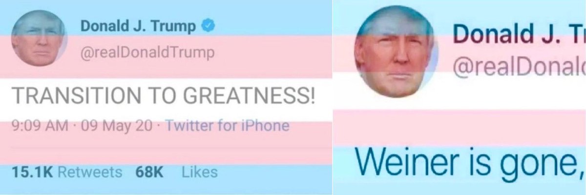 C_hoffmanni's tweet image. NOTHING BUT RESPECT FOR MY PRESIDENT #TransAwarenessWeek2020