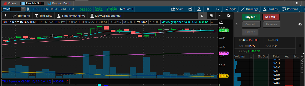 Lorrain56570763's tweet image. Thanks Jeff @ThePennyPro 
+$1485.00 on 150,000 shares TSNP.
Got me out of a margin call!!