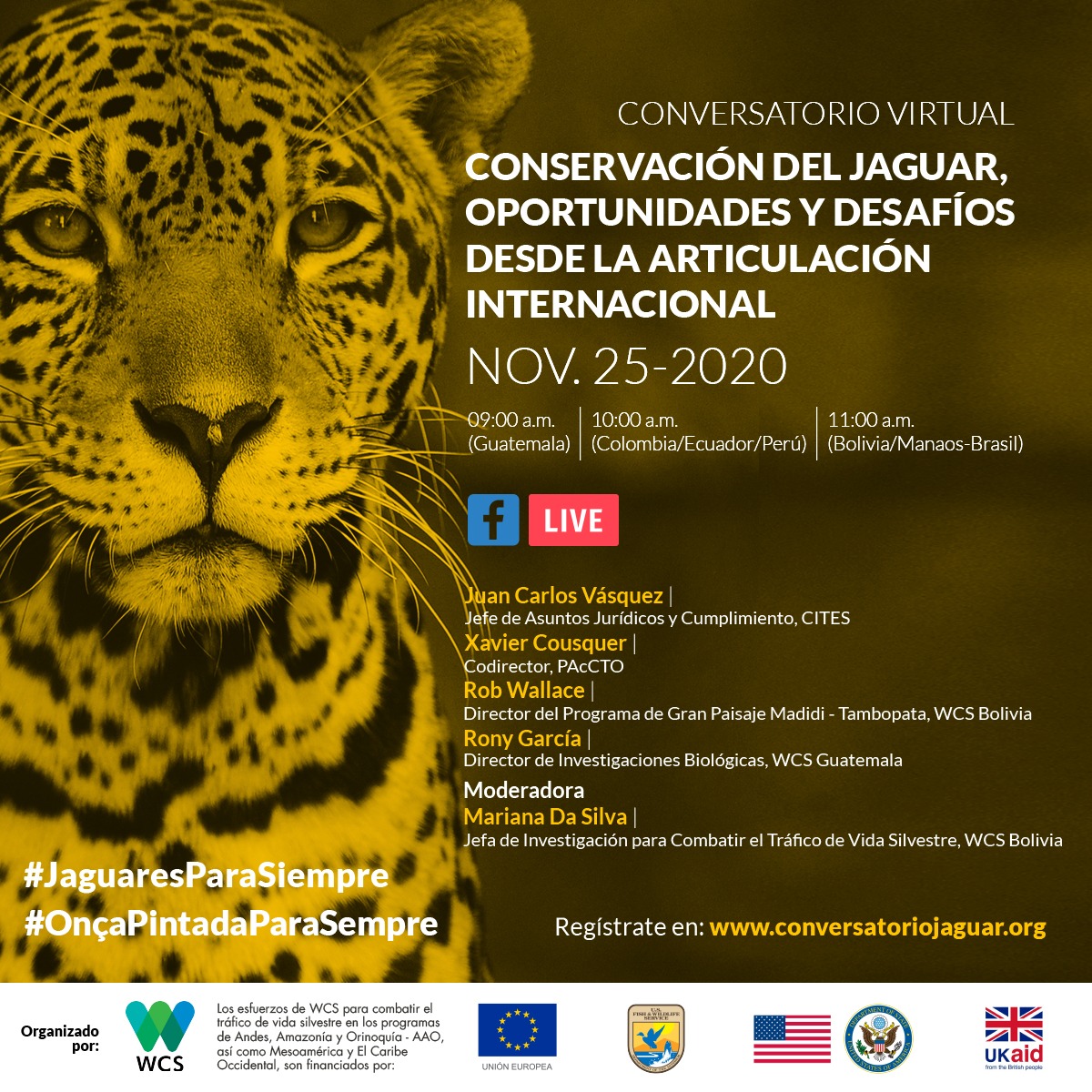 WCSEcuador's tweet photo. #JaguaresParaSiempre 🐾 | ¡Ya llega el #DíaInternacionaldelJaguar el 29/11! Del 23/29nov compartiremos datos relevantes sobre esta especie emblemática para la conservación y los esfuerzos de @TheWCS en el combate al #TráficodeFaunaSilvestre  
+ Info: https://t.co/uqzGJVWE2t 💚💙 https://t.co/SGJ4HT36r2