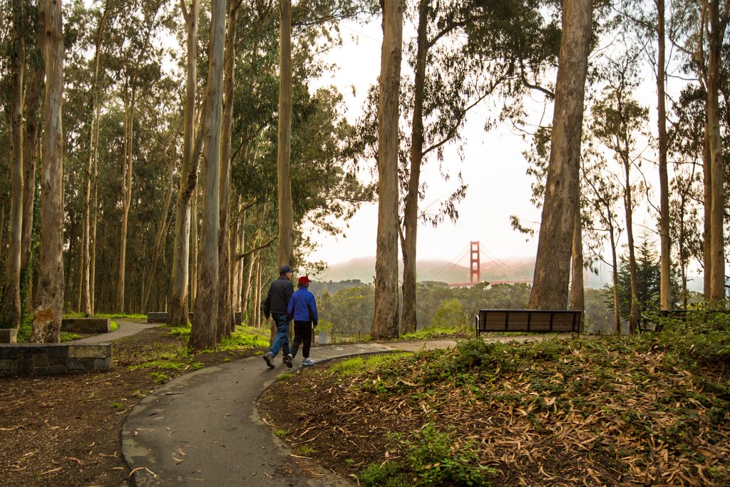 A quiet walk in the woods is the perfect way to escape the stress of everyday life. 24 miles of hiking trails await at the Presidio, with stunning views of the Golden Gate Bridge, all just outside your door.

Book today at presidiolodging.com/inn-at-the-pre…

📷:Charity Vargas Photography