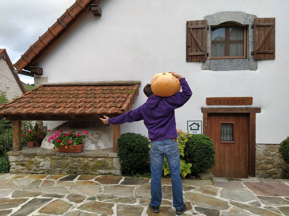 🎃 A que no sabéis cuánto pesa esta calabaza!!??
🎃 Badakizie zenbat pizatzen duen gonek??

🤔PISTA! La pequeña, txikia: 2,200 k.

casaruralerteikoa.com

#quebienlopasamos #humor #calabaza #otoño #udazkena #vidasrurales #rurallife #vivirenelcampo #otoño #iratiorreaga #navarra
