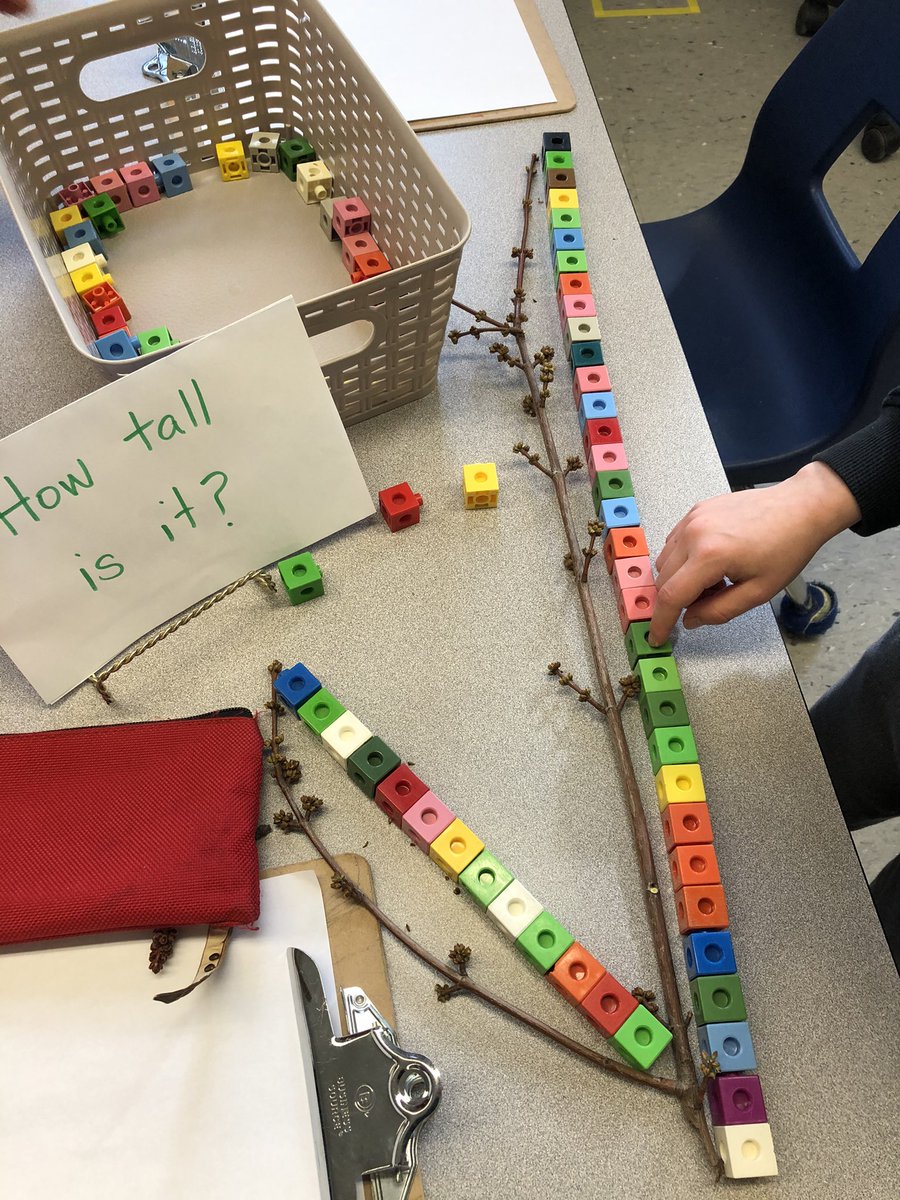 kindie17's tweet photo. When a friend makes an interesting discovery outside and Ss wonder how tall it is, there’s only one thing to do. We investigate!! #cocreatedlearning #howcanwemeasure @orioleparkjps @tdsb https://t.co/egl2IdF5iF