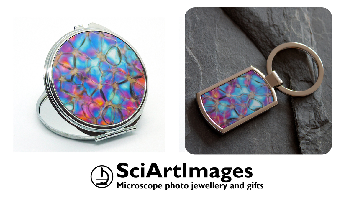 SciArtImages's tweet photo. These microscope photo handbag mirrors and keyrings would make great stocking fillers or table gifts. Gift boxed with a description of the image.
#PowerHour #SciArt #Microscopy
https://t.co/ySQLpHZfyu https://t.co/i4jOlwJyJ9