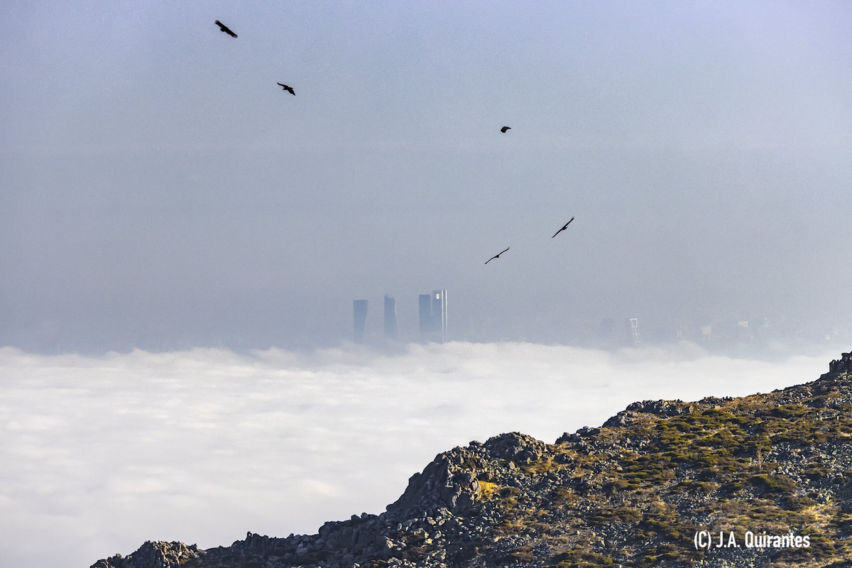 JoseAQuirantes's tweet photo. La disipación de la niebla esta tarde en Madrid desde las cumbres de Guadarrama https://t.co/eL9VczqD34