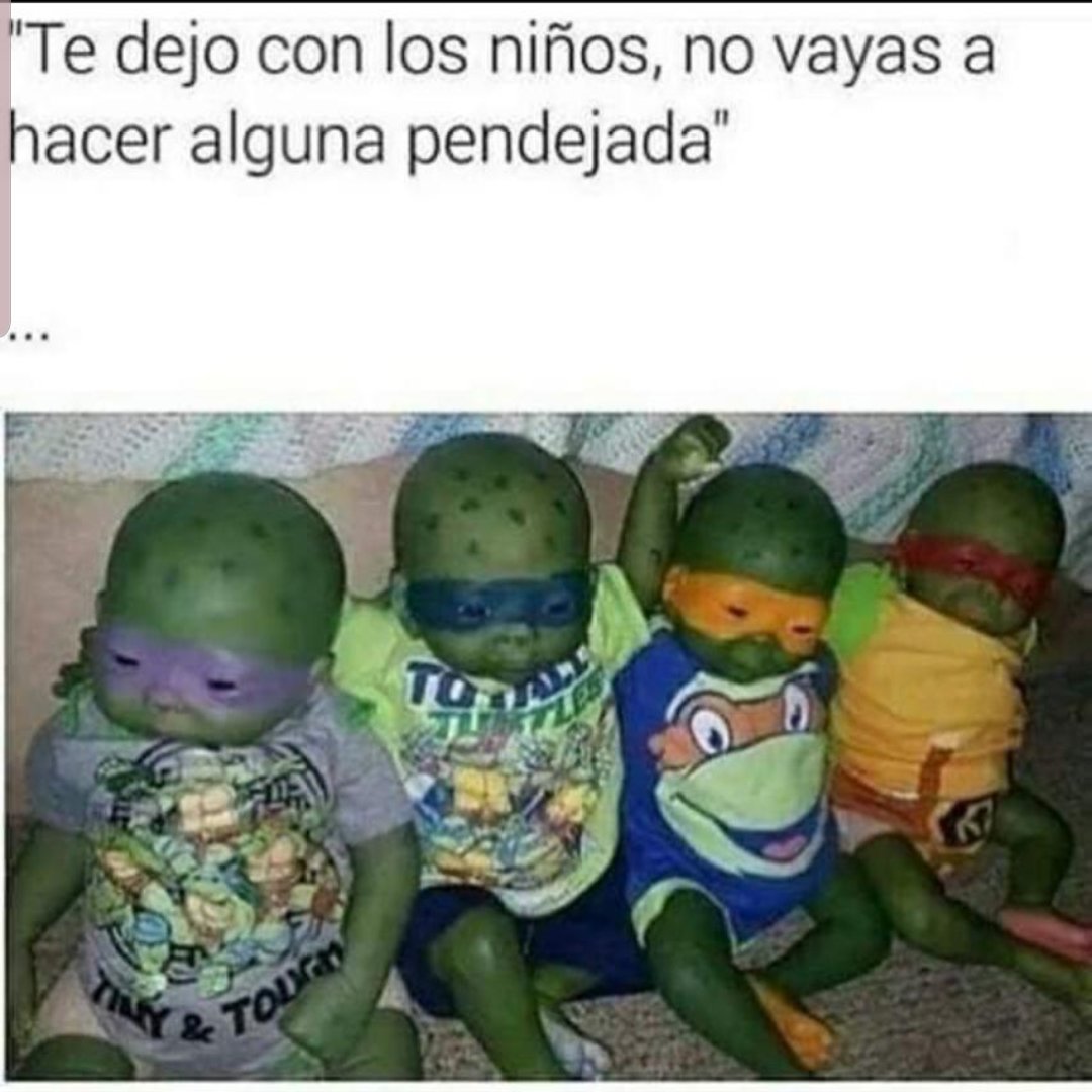 Baff, su creatividad no tiene límites maestro 🤣🤣🤣