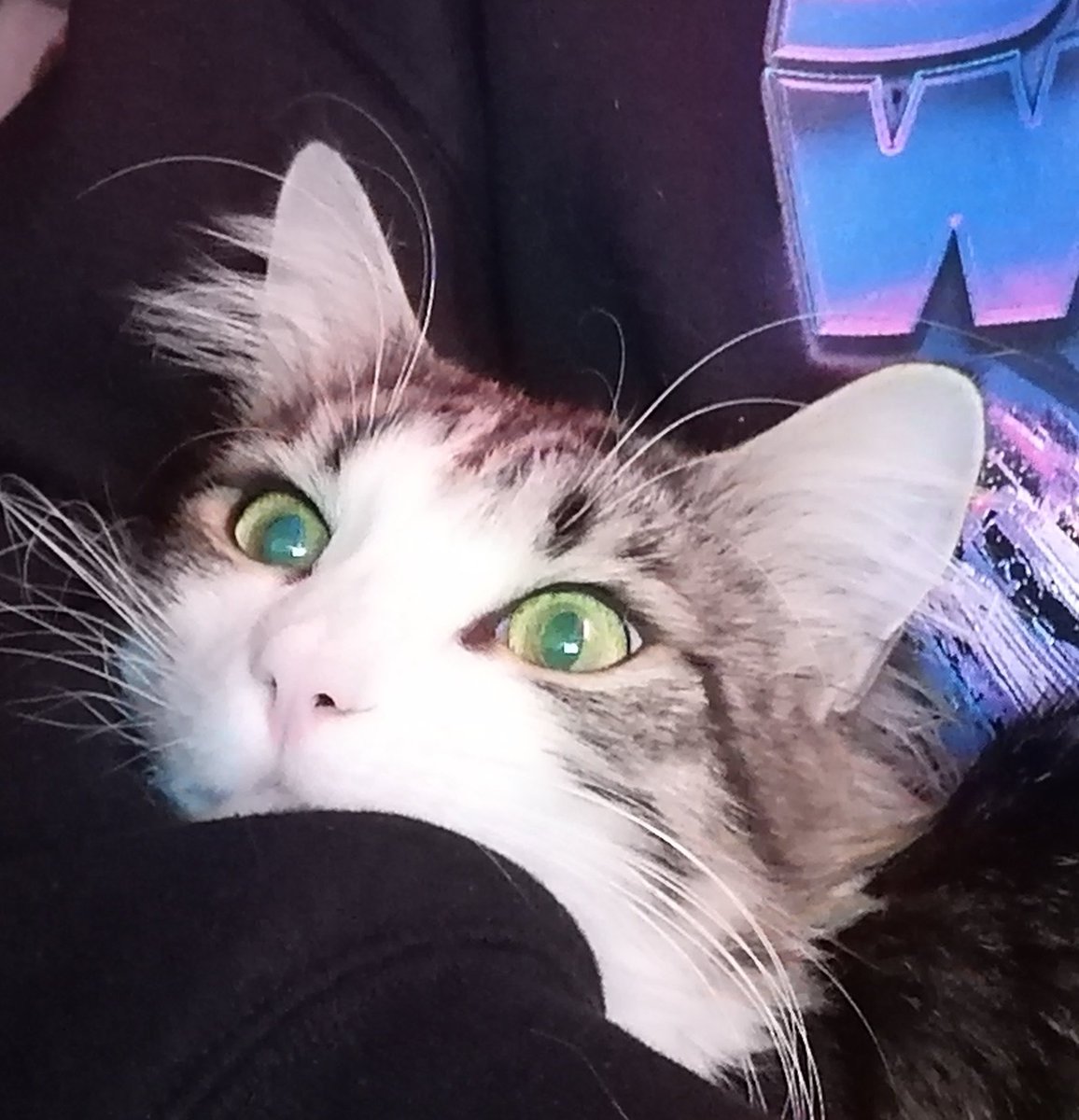 Tico as emojis: a thread