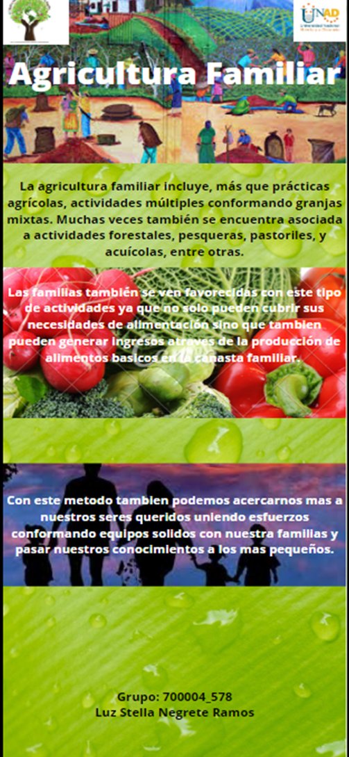 Luz Stella Negrete tweet media