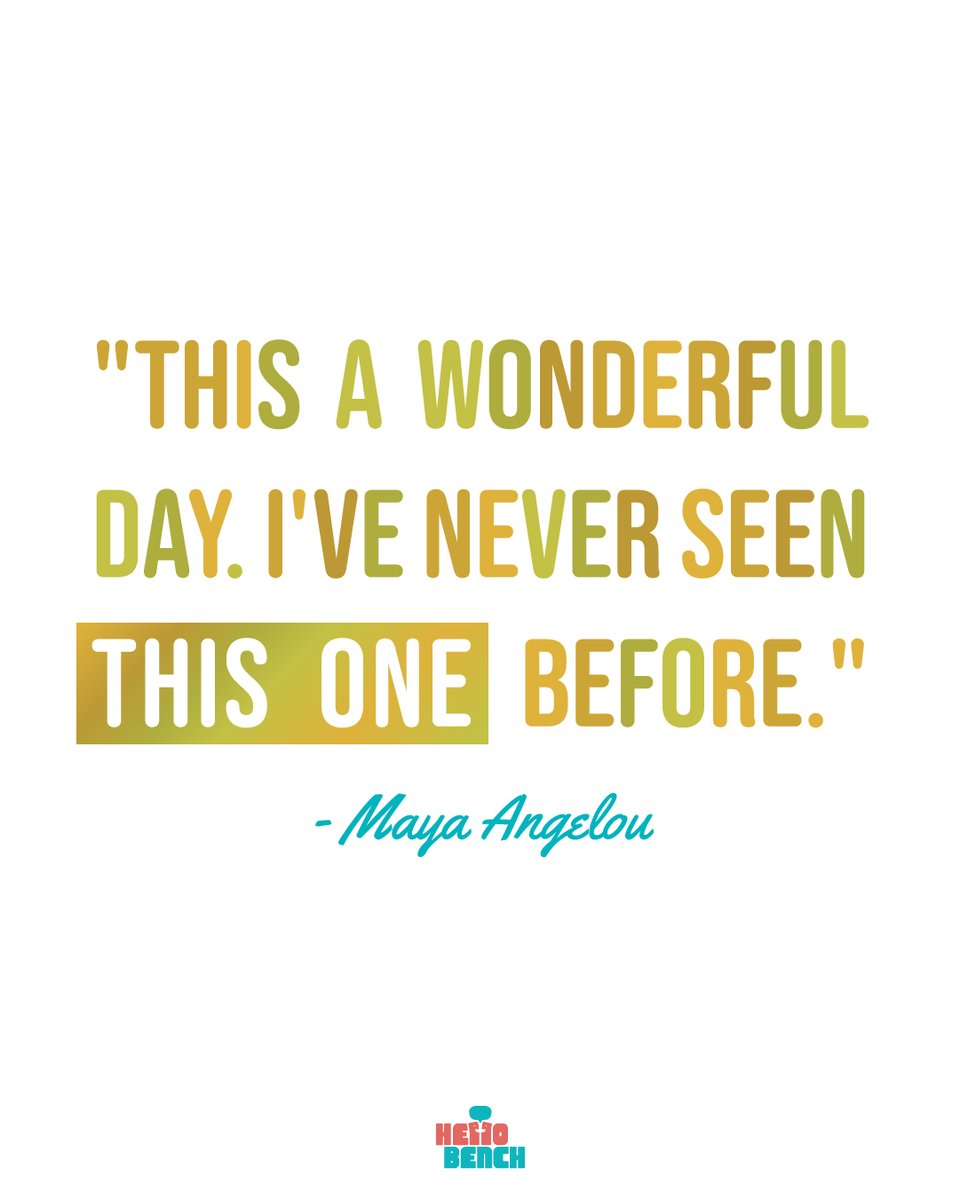 Hello Bench Project tweet media