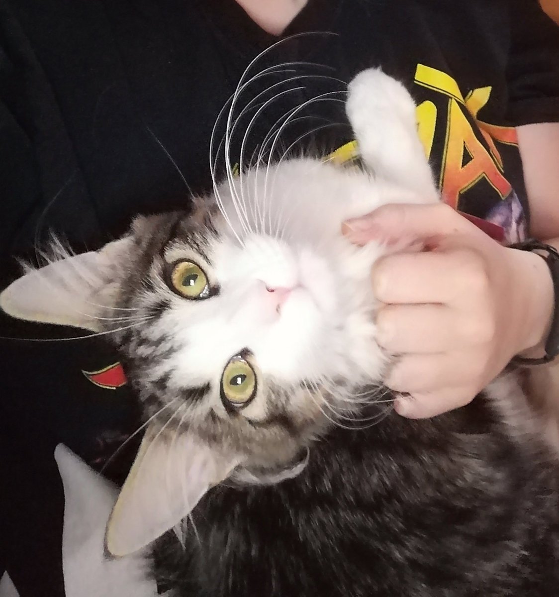 Tico as emojis: a thread