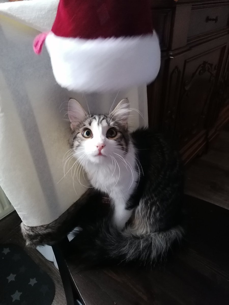 Tico as emojis: a thread