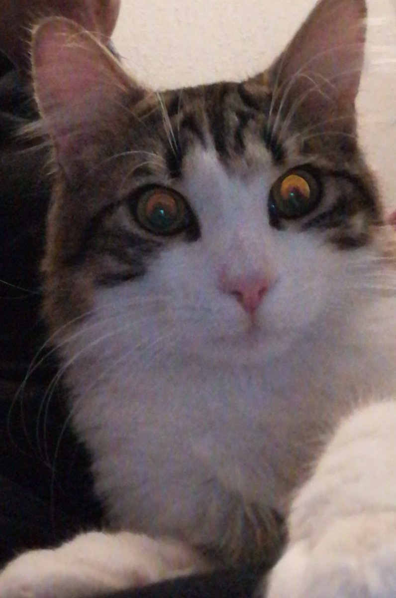 Tico as emojis: a thread