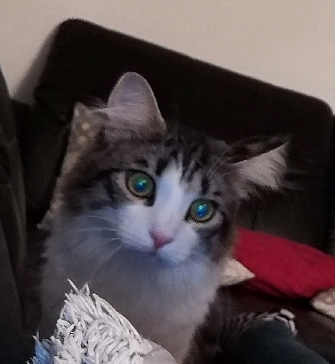 Tico as emojis: a thread