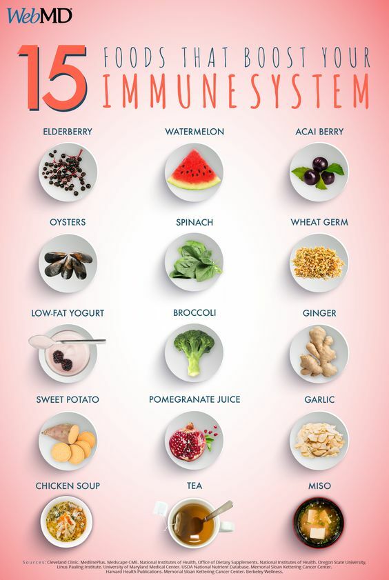 stand8io's tweet photo. With the second wave of the coronavirus and the beinning of flu season, check out these immune boosting foods and the best #nutrition apps of 2020 to help you stay #healthy!
#wellness #WeSTAND8
https://t.co/W1tNMtQZuZ https://t.co/tdSueZAa6M
