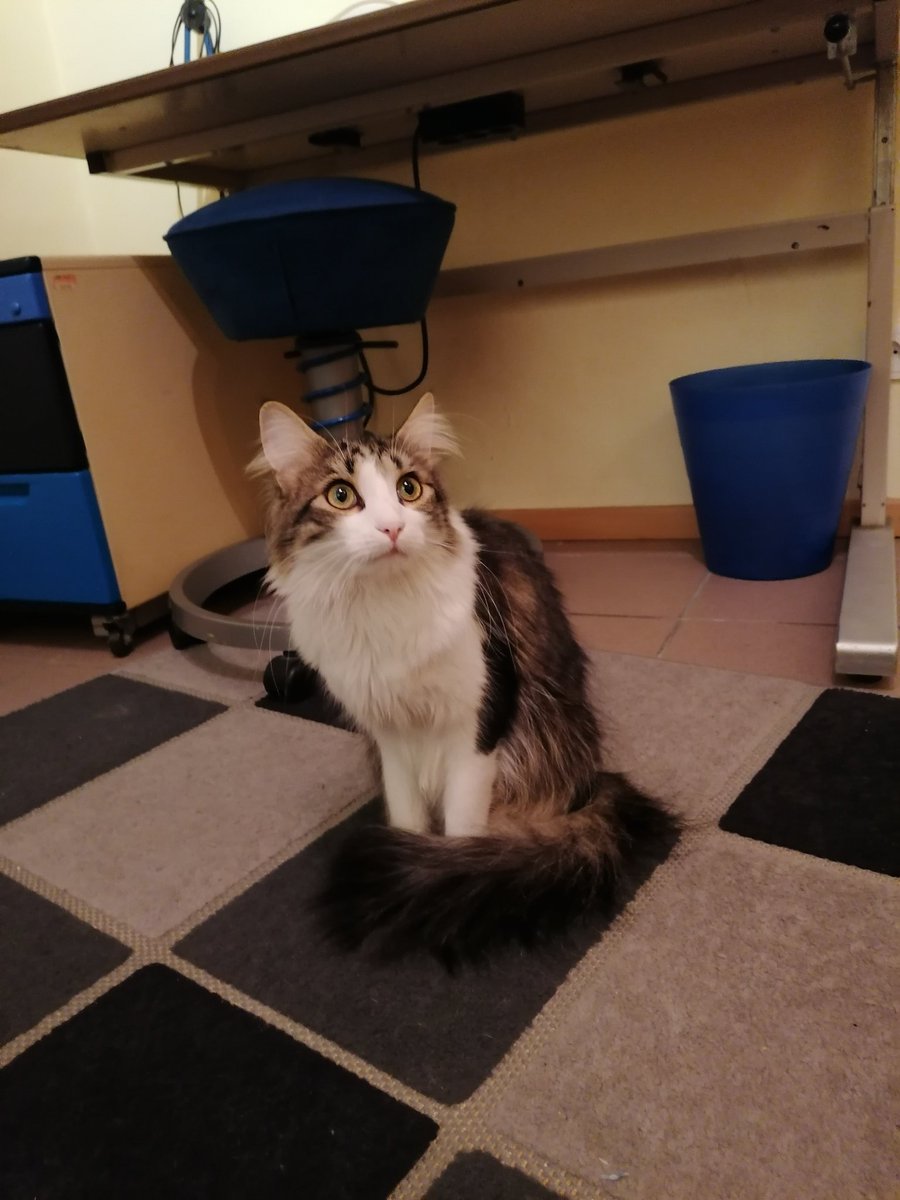 Tico as emojis: a thread