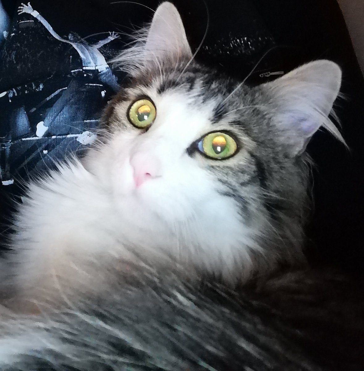 Tico as emojis: a thread