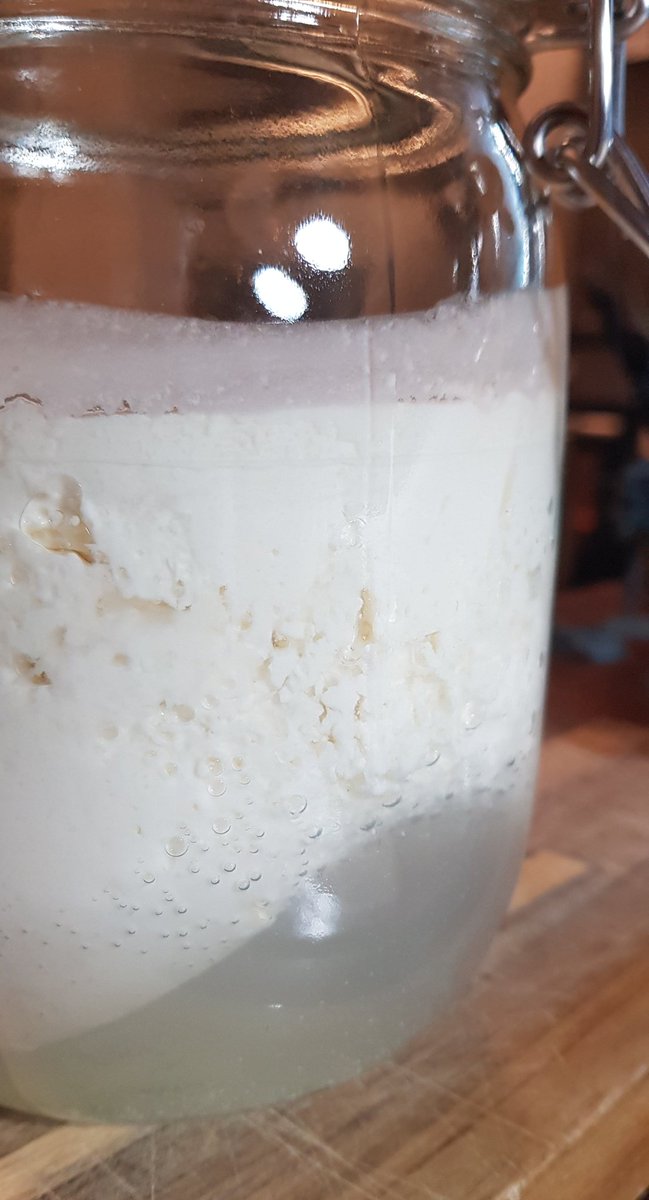 neilbuttery's tweet photo. Hmmm the kefir looks a little, er, sparkling?
#homefermentation https://t.co/v6BaTCbzzh