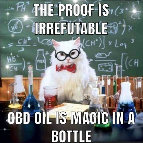 greenheart_cbd's tweet photo. For legal reasons we are joking.. but... 👀👀👀
#humpday #wednesday #greenheartcbd #seedtoshelf #circulareconomy #ireland #plantbased #hemp #hempseed #flaxseed #rapeseed #health #cbd #coldpress #fulltraceability #zerowaste https://t.co/Nk7fcWmrFo