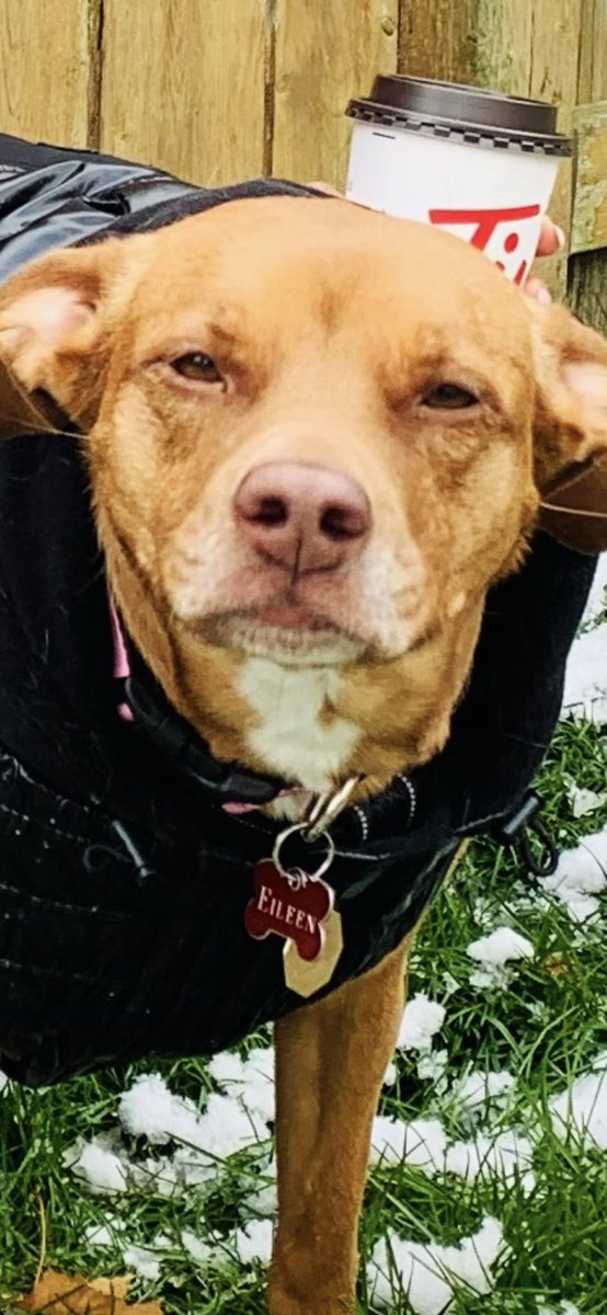 The_Jess_Smith's tweet photo. Eileen’s face is a whole 2020 mood 😂! #BeSafe #WearAMask #MaskUp #NotAFanOfWinter https://t.co/2BIKHH0kDU