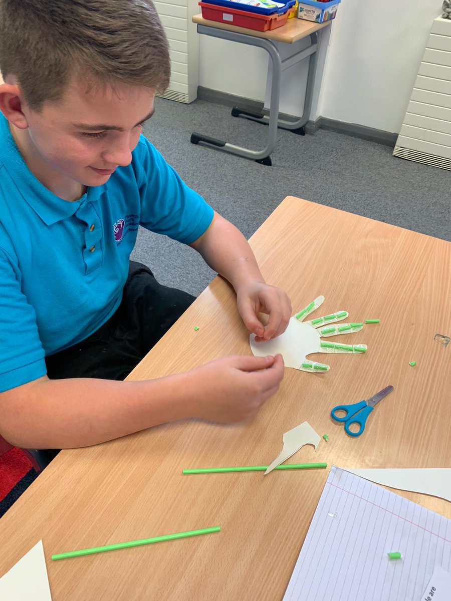 PhoenixHousePRU's tweet photo. SCIENCE
'How do muscles work?'
KS3 learnt about the 3 types of muscle found in the body and then made their own antagonistic muscles!
One class made a model bicep/tricep & the other class an articulated hand to practically show how muscles work!
#KS3 #science #thisisp https://t.co/0vriUthwKf