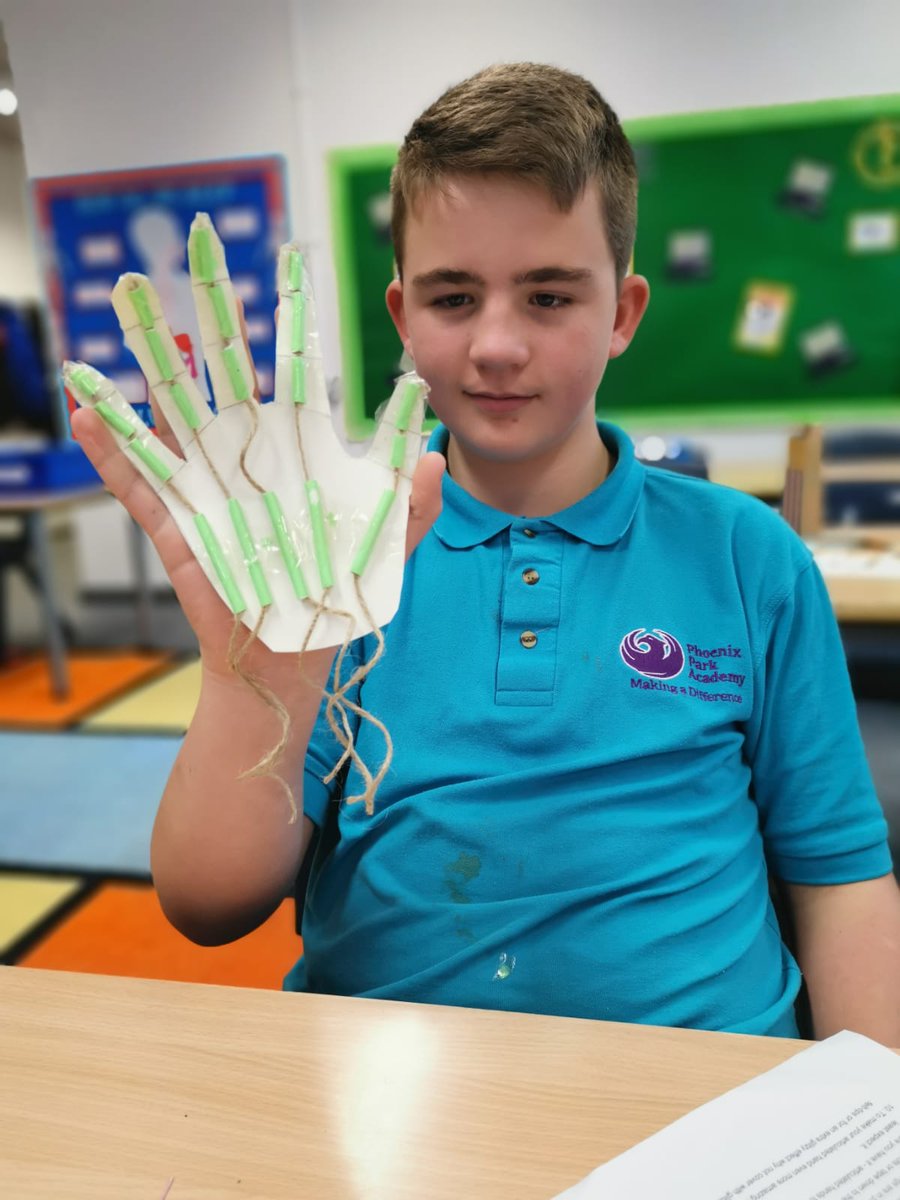 PhoenixHousePRU's tweet photo. SCIENCE
'How do muscles work?'
KS3 learnt about the 3 types of muscle found in the body and then made their own antagonistic muscles!
One class made a model bicep/tricep & the other class an articulated hand to practically show how muscles work!
#KS3 #science #thisisp https://t.co/0vriUthwKf