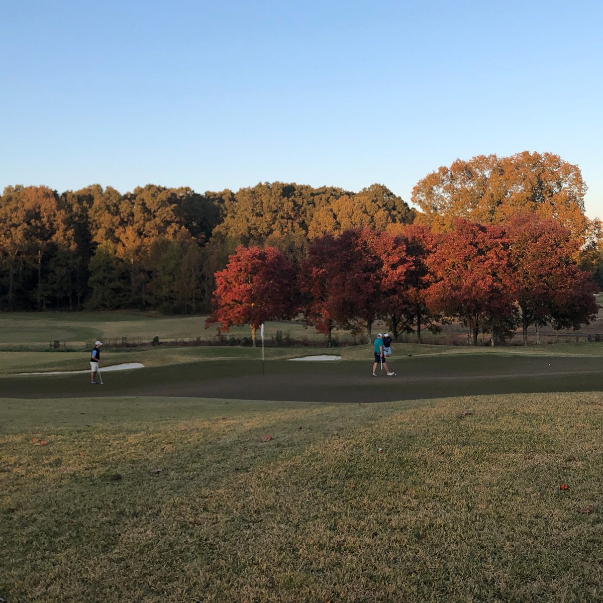 Spring Creek Ranch tweet media