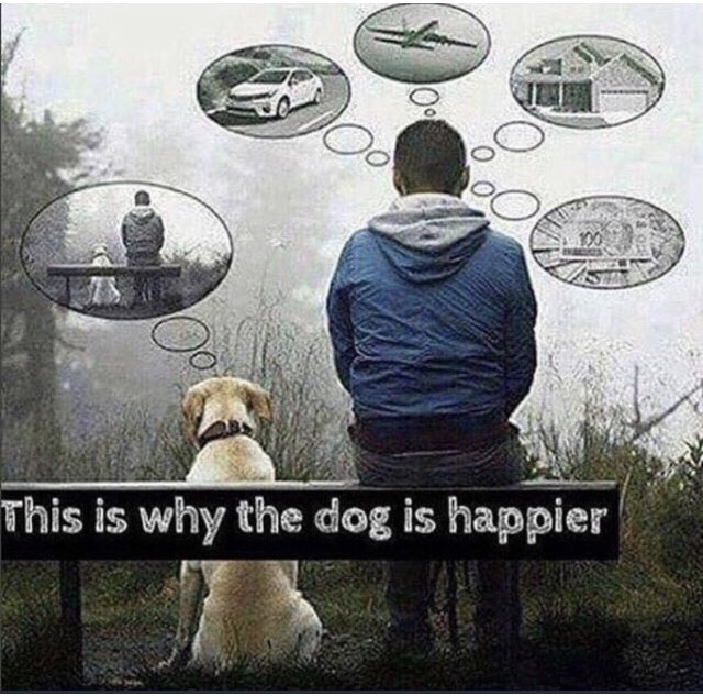 62chas62's tweet photo. @humorandanimals https://t.co/2MO6ZJqdle