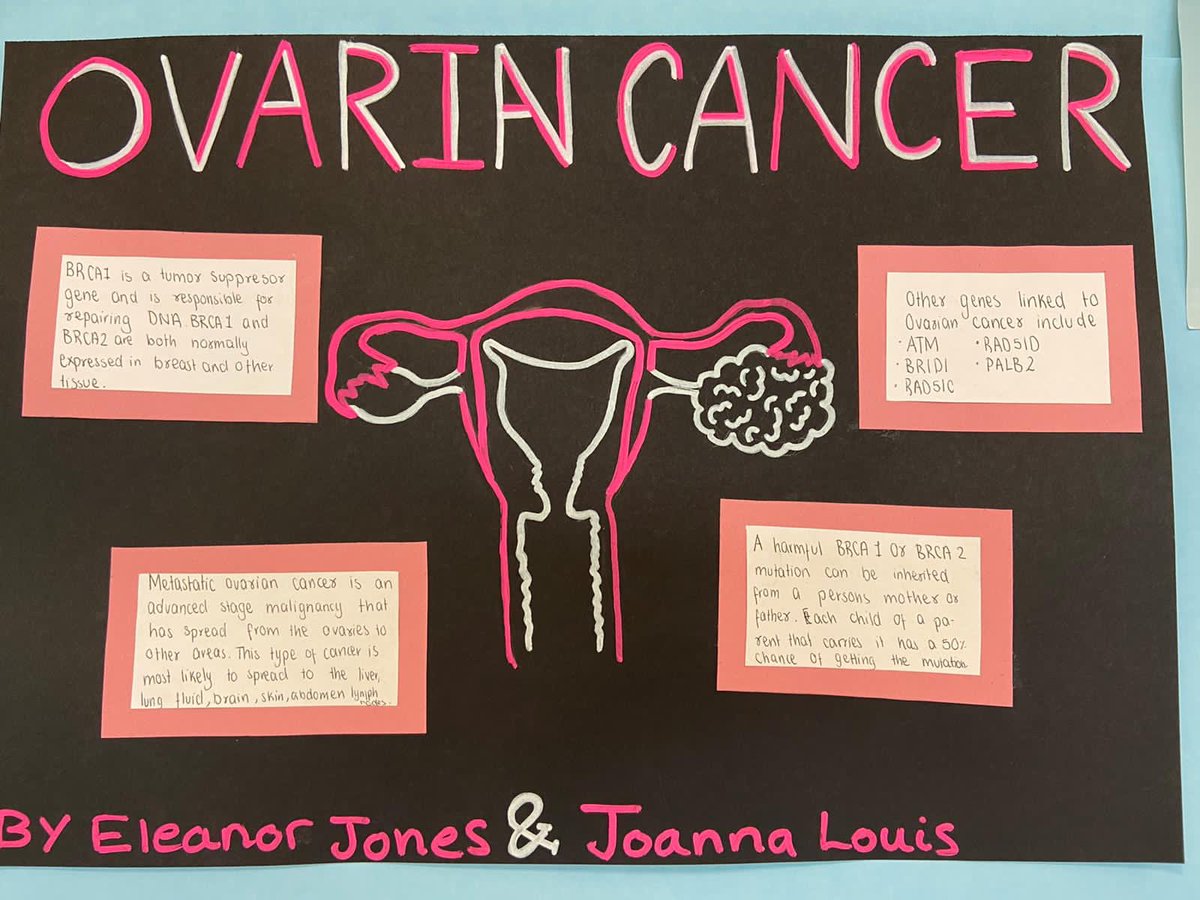 AcademyLargs's tweet photo. Some fantastic posters showcasing cancer research by the advanced higher biology class!
#advancedbiology
#teamwork
#medicinalresearch https://t.co/4ygyysl2D2