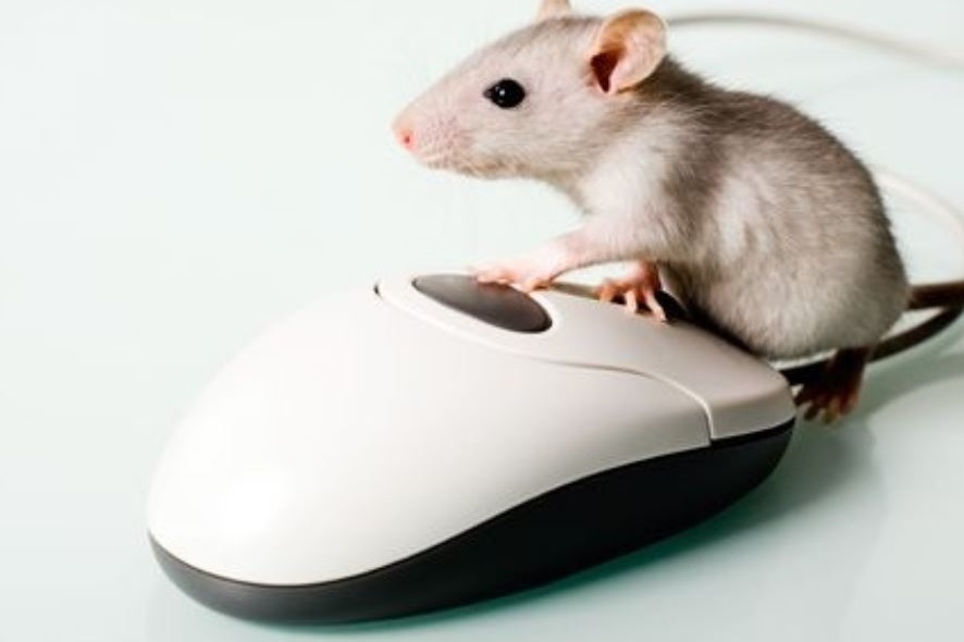 Sanguinius, Lion, Perturabo, Mortarion