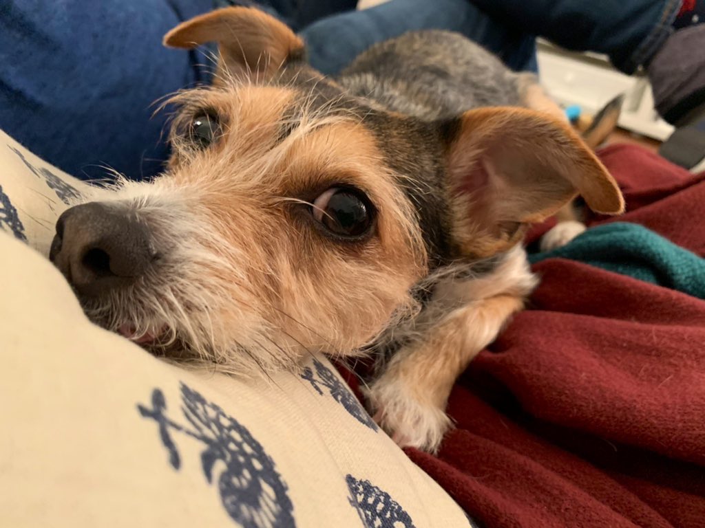 Riley as usual trying to follow along.