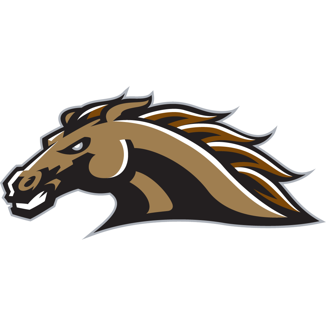 paleboyphil's tweet photo. Go Broncos! BEAT THE CHIPS https://t.co/Pc1o0ikdHP