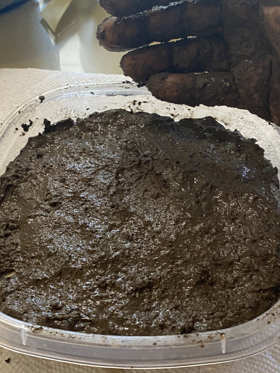 MrsMaass5's tweet photo. Kids in my “Smart Cookies”virtual classroom made Adobe bricks like the real Native Americans today. https://t.co/mMXDokh8Ir