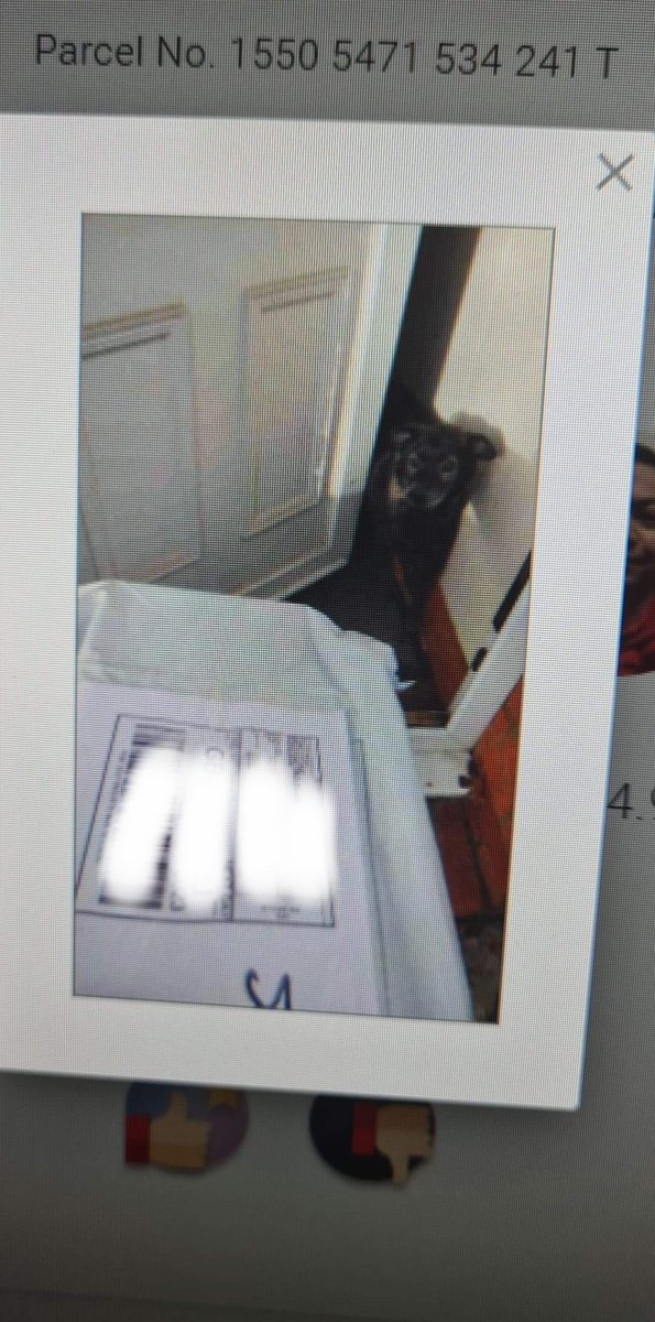 Cheery_slacker's tweet image. #LockdownLife When proof of delivery shows my dog is now signing for parcels!