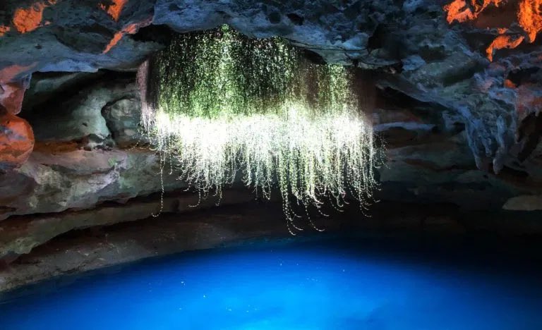 tracethetrail's tweet photo. Devil’s Den Spring | Williston, FL, USA

Photo Credit: IG: kristin_stagram 

Photo Coordinates: 29.407558, -82.476474

Getting There: https://t.co/7WcPCzMGad

#devilsden #spring #florida #snorkeling #scuba #cave #earthporn #nature #naturalwonder #visitflorida #tracethetrail https://t.co/IrLFwlpM43