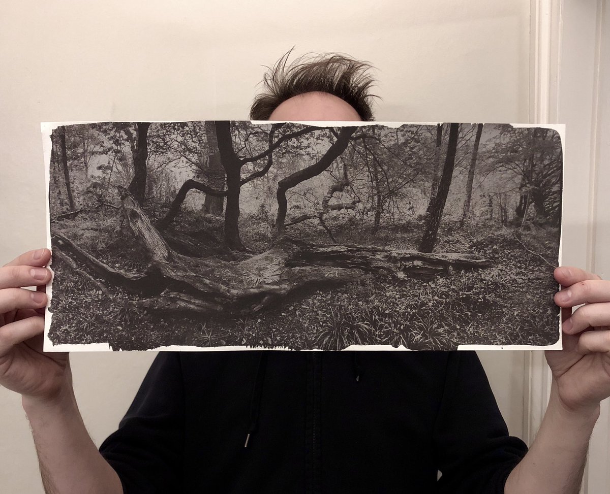 A large salt print of the fairytale woods - with extra brooding darkness! I used a different paper for this negative and ended up overexposing it slightly, but I like it 🤷‍♂️ 

8x18inches on BFK Rives and gold toned 

#badhairday #saltprint