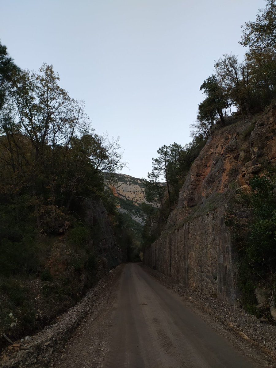 viaverdetrespa's tweet photo. Las obras en el tramo Trespaderne - Oña también van avanzando por el lado de Trespaderne. Así está el tramo desde la estación al túnel previo al puente sobre el Ebro
#trespaderne #oña #viaverde #santandermediterraneo #lahoradada #ebro https://t.co/f9cW0xUVF9