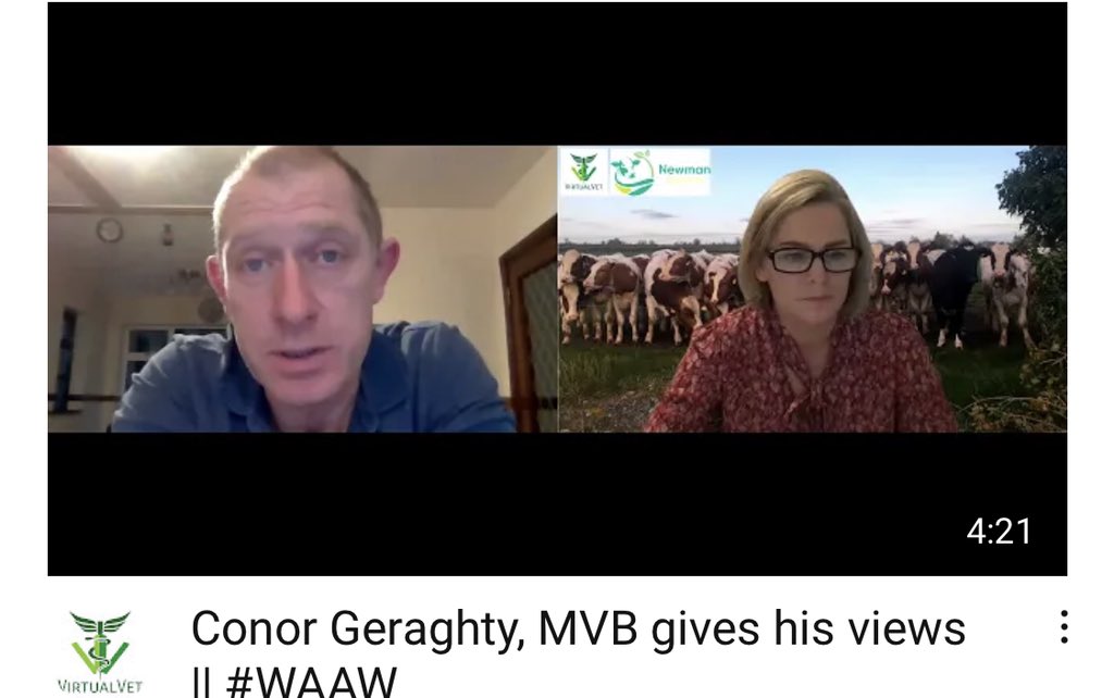 Newman Solutions tweet media