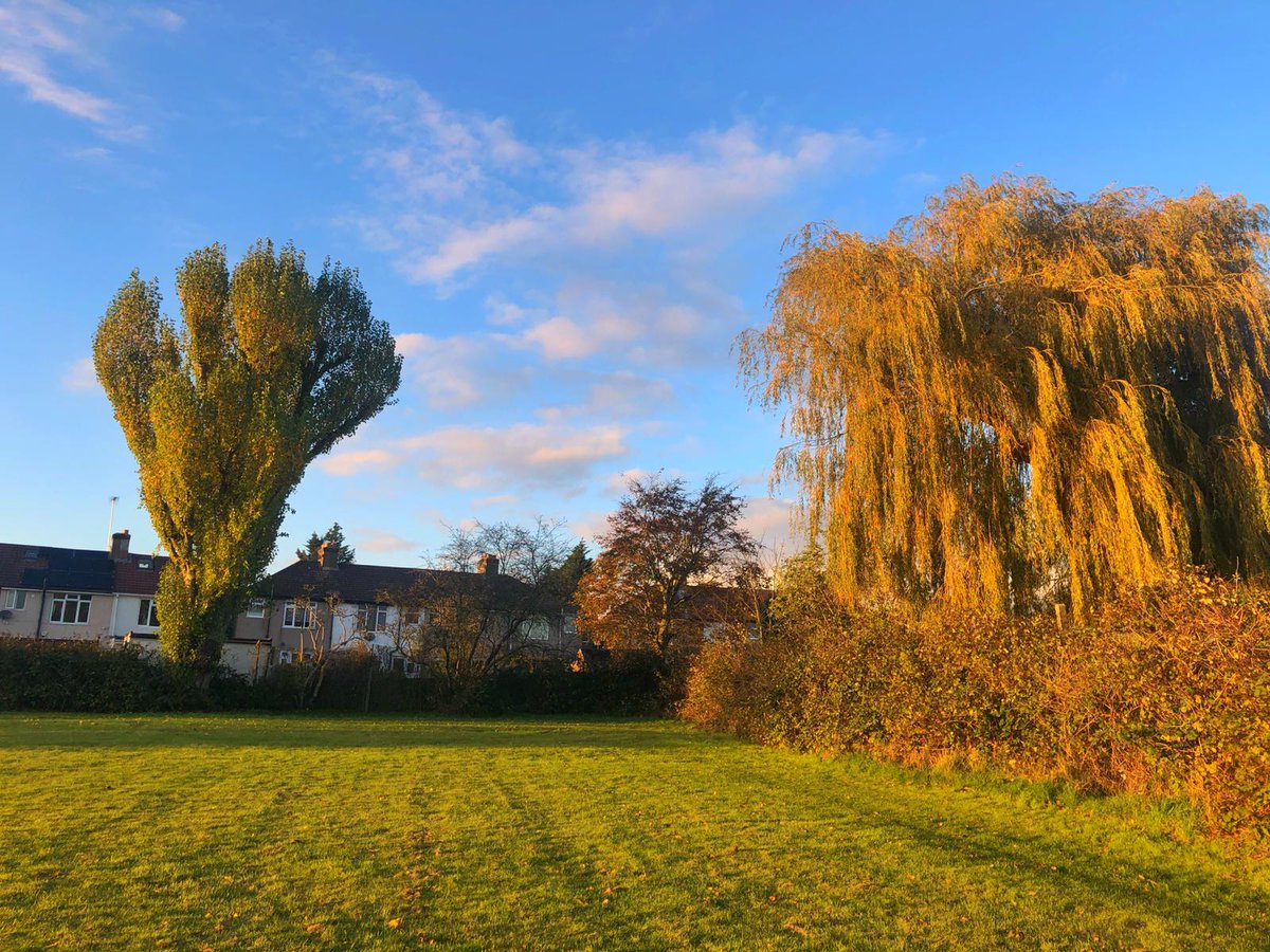 Friends of Whitefriars Open Space tweet media
