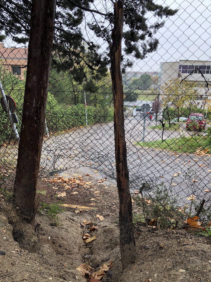 Elenabyme's tweet photo. @MajadahondaAyto @MarinaPont_ @alvarezustarroz Y en algún momento alguien se va a pronunciar sobre la valla rota que hay en el parque del Cerro del Aire y que supone un riesgo en la seguridad? Llevo varios mensajes y ninguna contestación. O es necesario que ocurra algún accidente, ataque o robo para que se arregle? Gracias https://t.co/EppGSJx4PM