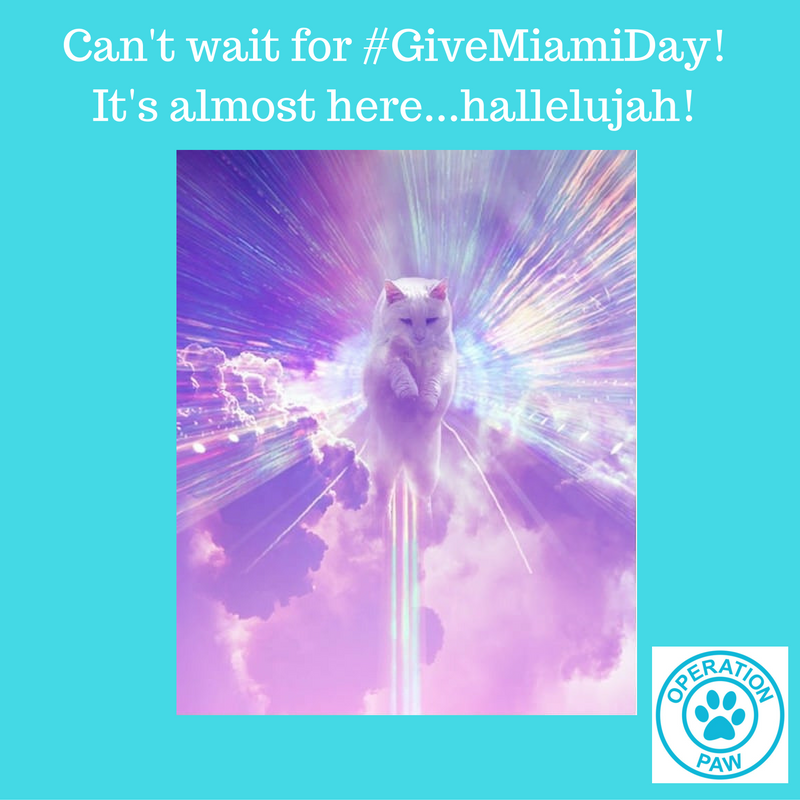 Who else is excited about <a href="/MiamiFoundation/">The Miami Foundation</a>  #GiveMiamiDay?!?