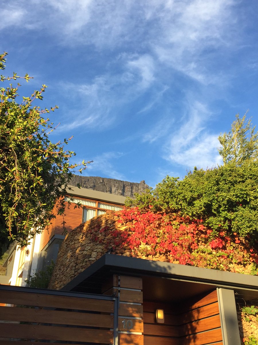 SarahTaylor/BeeBalmy tweet media