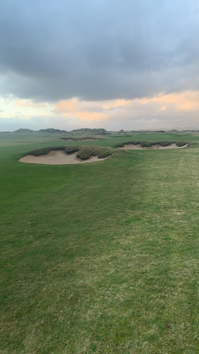 GolfLink tweet media