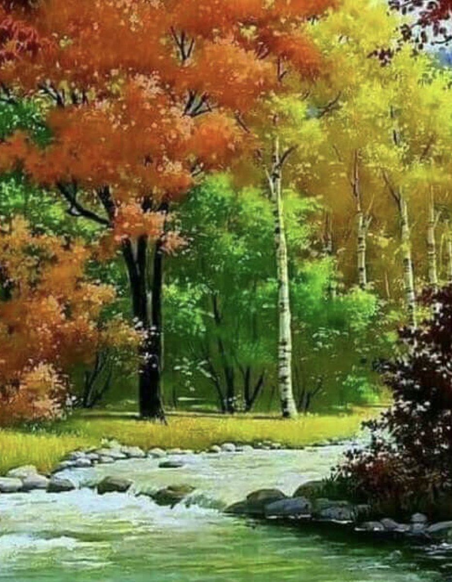 vicky8_1's tweet photo. Good Evening Beautiful World ✨
#eveningstar #Gratitude 💛✨
#GoodEveningFriends ✨
#AmazingWednesday
#goodnight ✨
#Hugs ✨ https://t.co/wUpj0kHa2b
