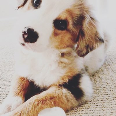 SledgeNigel's tweet image. #NewProfilePic