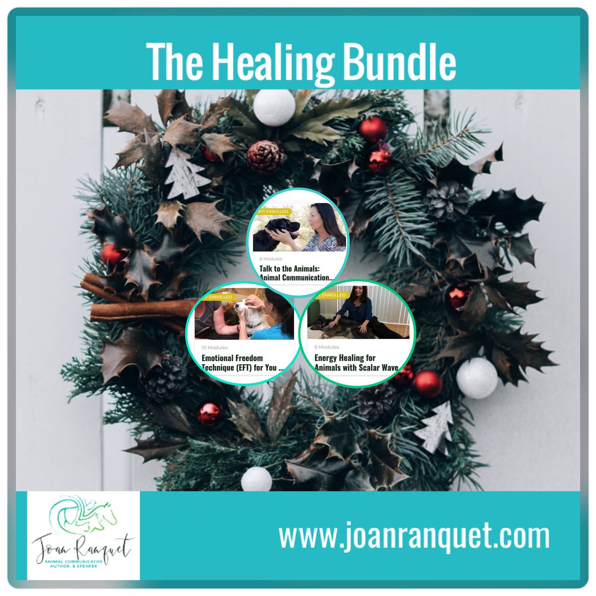 I have created a “Healing Bundle” for you!!  Almost $600 of training will be offered to you for just $333 – with lifetime access and an ability to complete the courses in your own space and on your own time. Watch for the Healing Bundle to come out on #BlackFriday, November 27th!