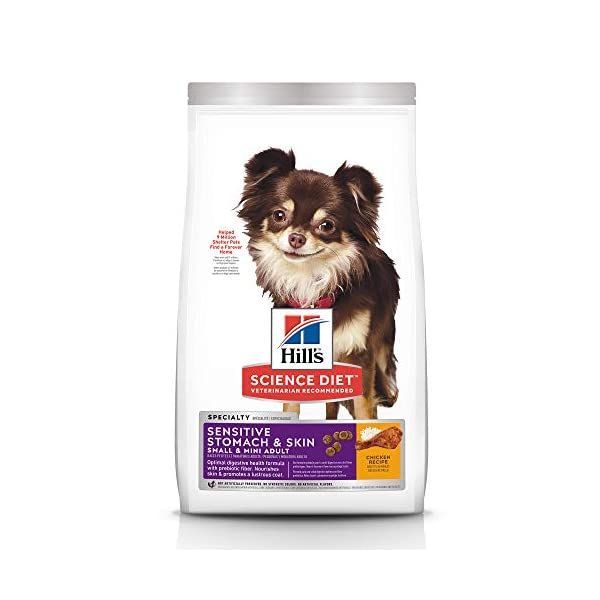 BillisPet's tweet photo. https://t.co/sdm7fafFCU
Small breeds dry dog food.
#petsupplies #catsupplies #dogsupplies #cattoy #interactivetoy #electronictoy #chewtoy #squeaktoy #tugtoy #fetchtoy #plushtoy #catnip #scratchingpost #hammock #catbed #petfountain #collar #harness #leash #tieout #trainingcollar https://t.co/fHdpkovDHQ