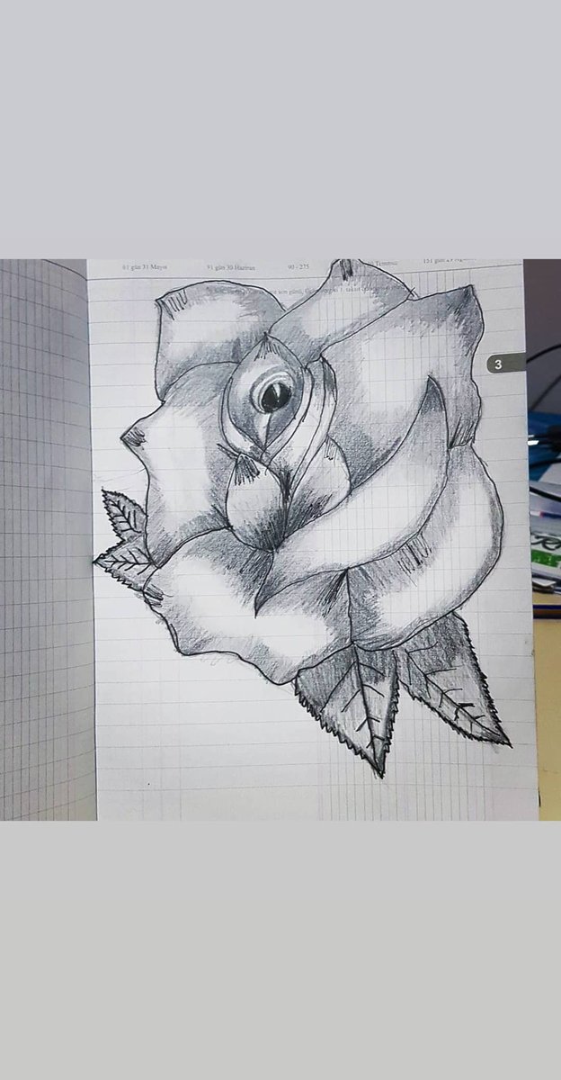hayzumweb's tweet photo. Karakalem Gül Çalışmaları Devam ediyor 
#pen #pendrawings #pendrawing #pendrawingart #penartwork #penartdrawing #pendraw #pencil #pencils #pencilartwork #pencil_art #pencilart #pencildraw #pencil_drawings #pencil_work #pencil_drawing #pencildrawing #pencildrawings #pencilsketch https://t.co/TxX3g0coZ2