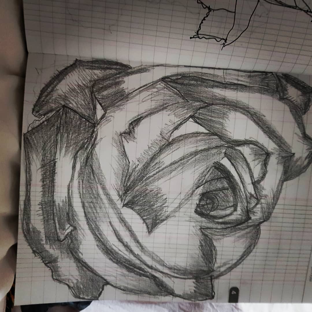 hayzumweb's tweet photo. Karakalem Gül Çalışmaları Devam ediyor 
#pen #pendrawings #pendrawing #pendrawingart #penartwork #penartdrawing #pendraw #pencil #pencils #pencilartwork #pencil_art #pencilart #pencildraw #pencil_drawings #pencil_work #pencil_drawing #pencildrawing #pencildrawings #pencilsketch https://t.co/TxX3g0coZ2