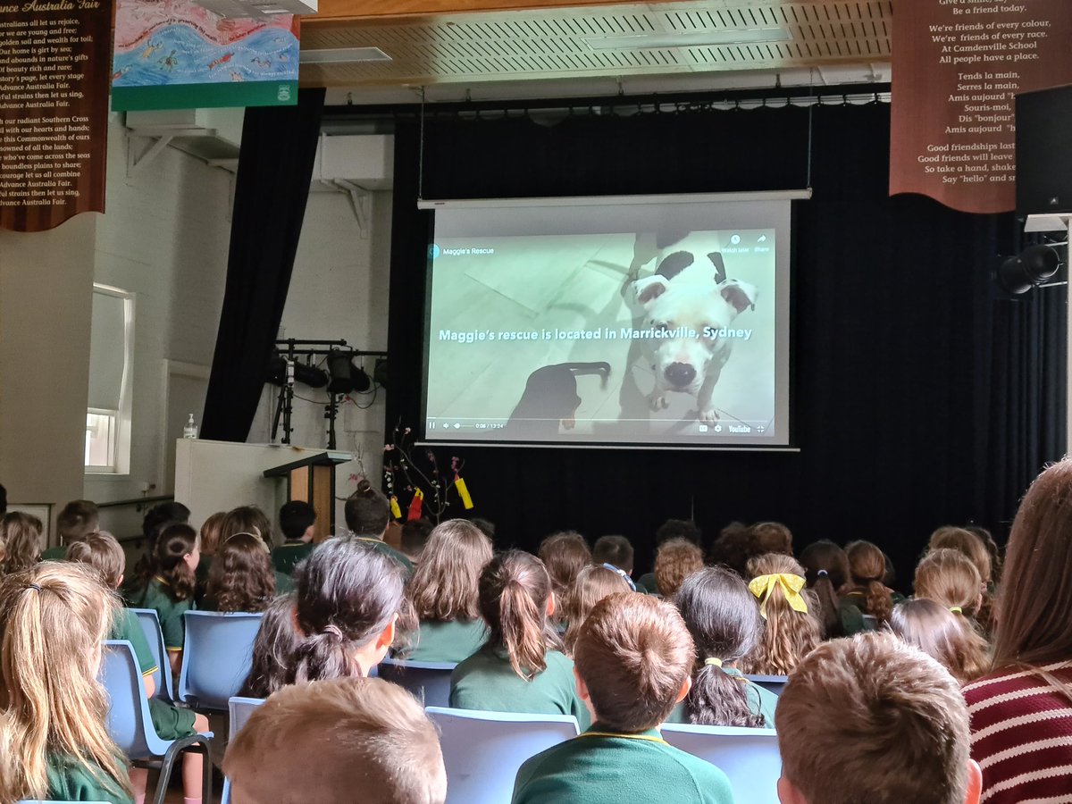 Well done Stage 3! Such diverse stories about important people in our community #projectbasedlearning