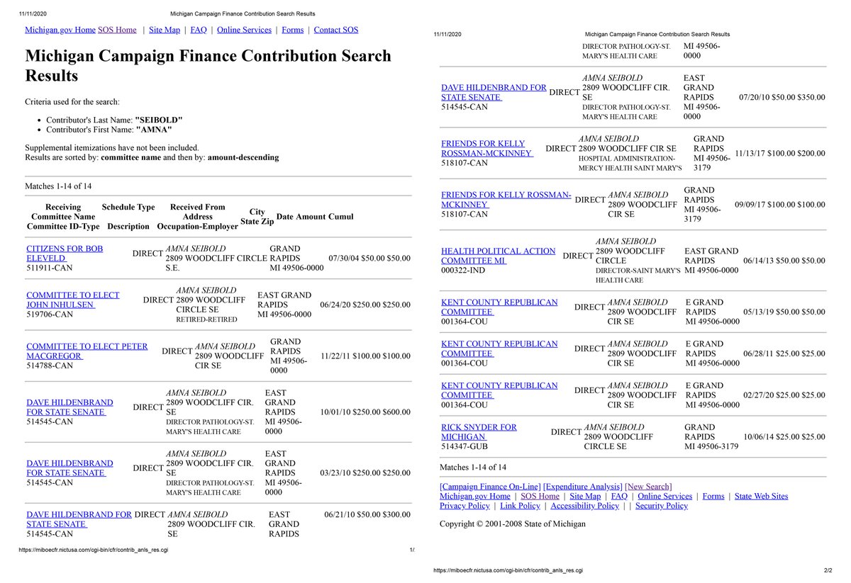 Exhibit D: While a “nonpartisan” mayor, Seibold made personal donations to Republican candidates Dave Hildenbrand ($600), Pete MacGegor ($100), John Inhulsen ($250), Rick Snyder ($25), Bob Eleveld ($50), John Kasich ($250), and local Republicans. She donated to one Democrat. 7